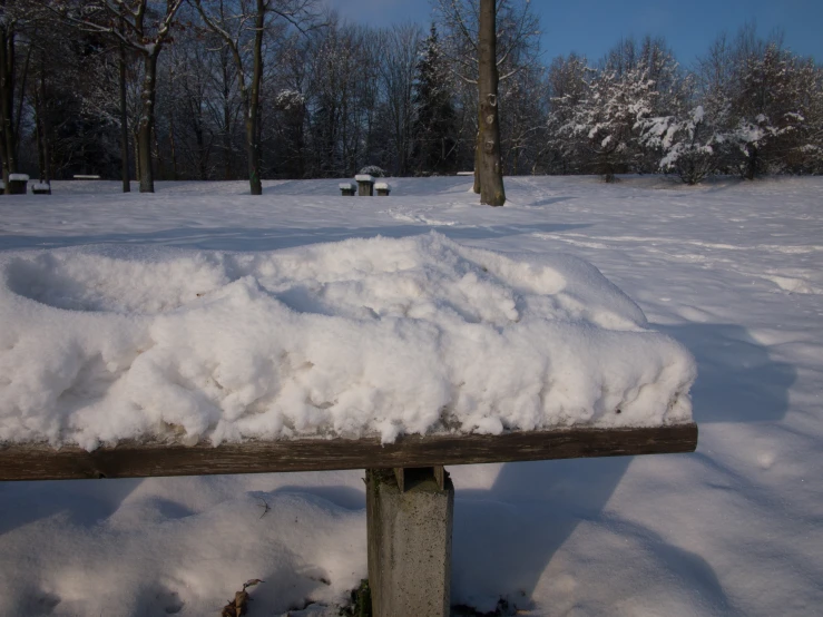 a park bench covered in snow near trees