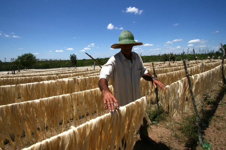 a farmer in a hat is standing behind a row of straw