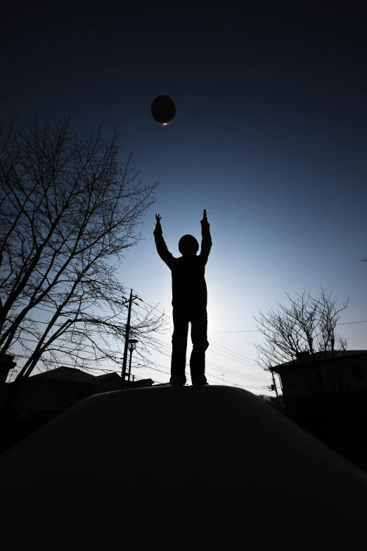 person tossing frisbee up in air while standing on snowy hill