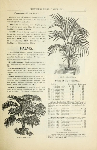 palm tree instruction book with instructions