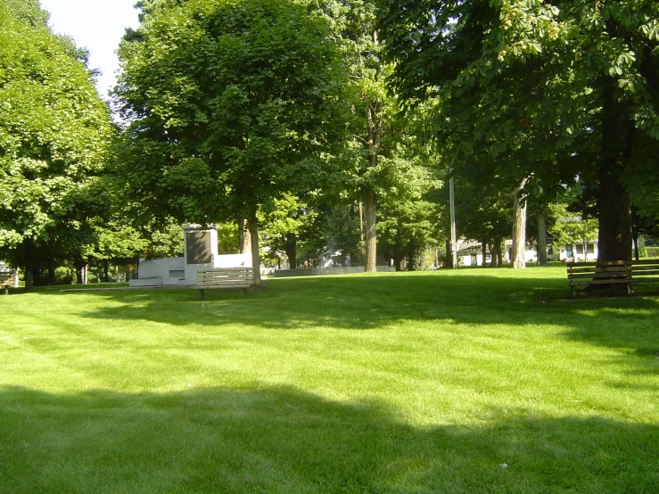 green grass with several benches in the back