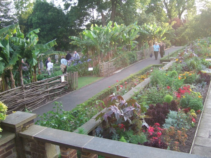 a garden with many flowers and people walking through it