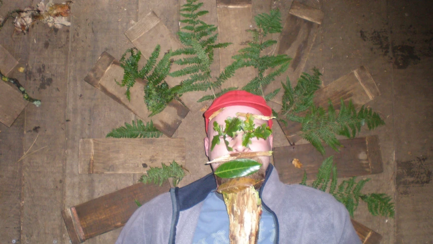 a man holding a plant through his face