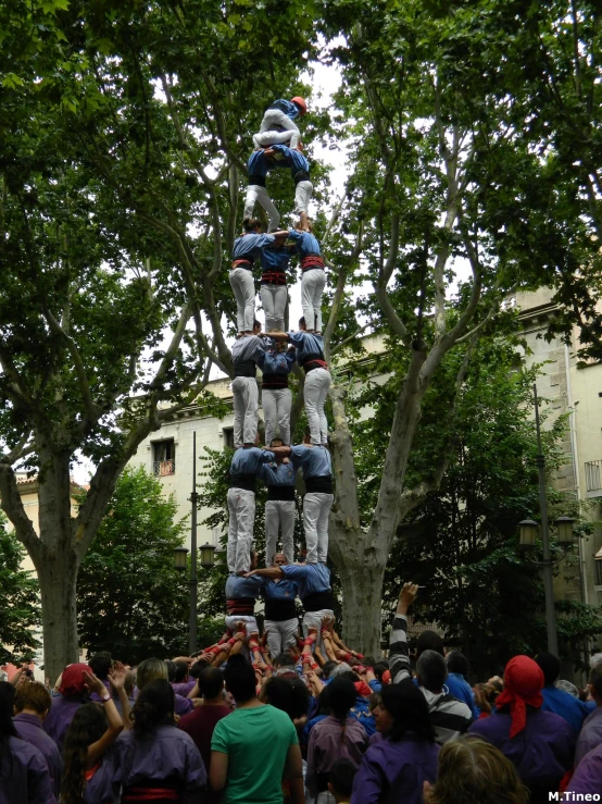 a giant tree with people hanging from it in the park