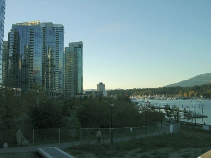 a river that is next to a city with tall buildings