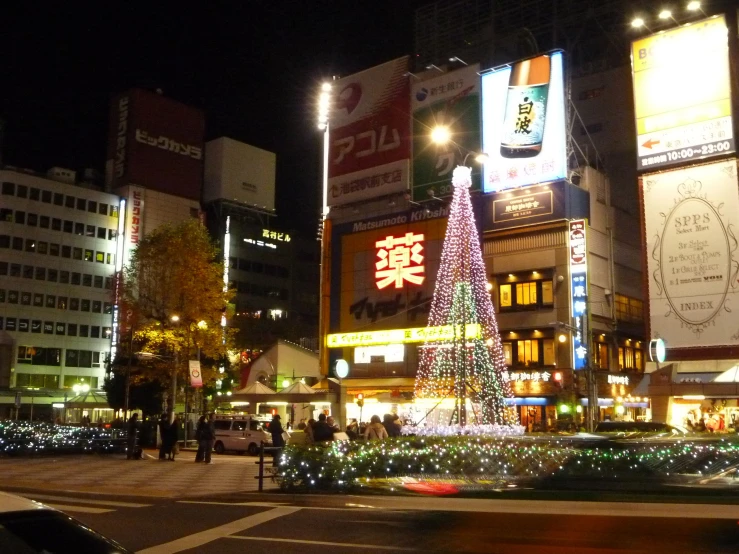 the trees are lit up in the city