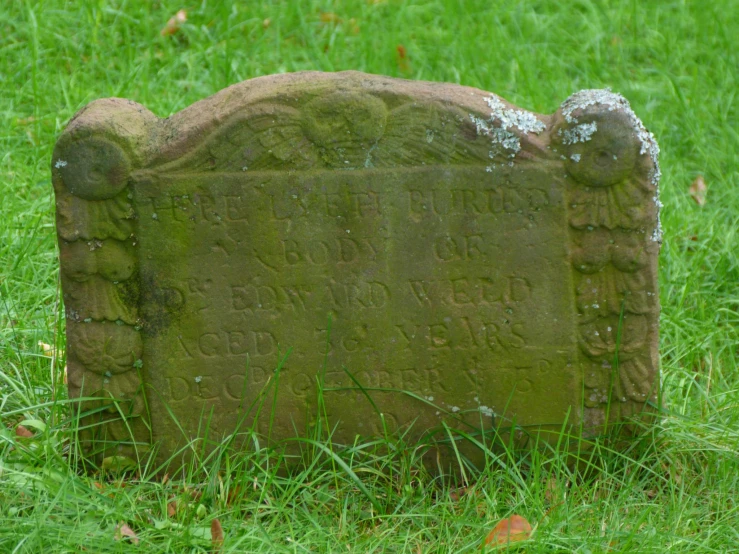 an old grave in the grass near a cat