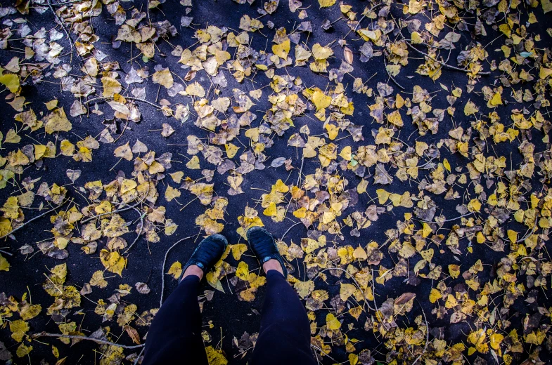 person's legs and feet standing in front of yellow leaves