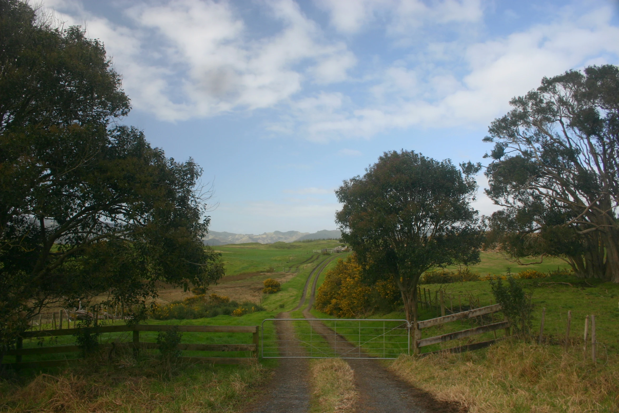 a rural countryside area with a country road in the middle