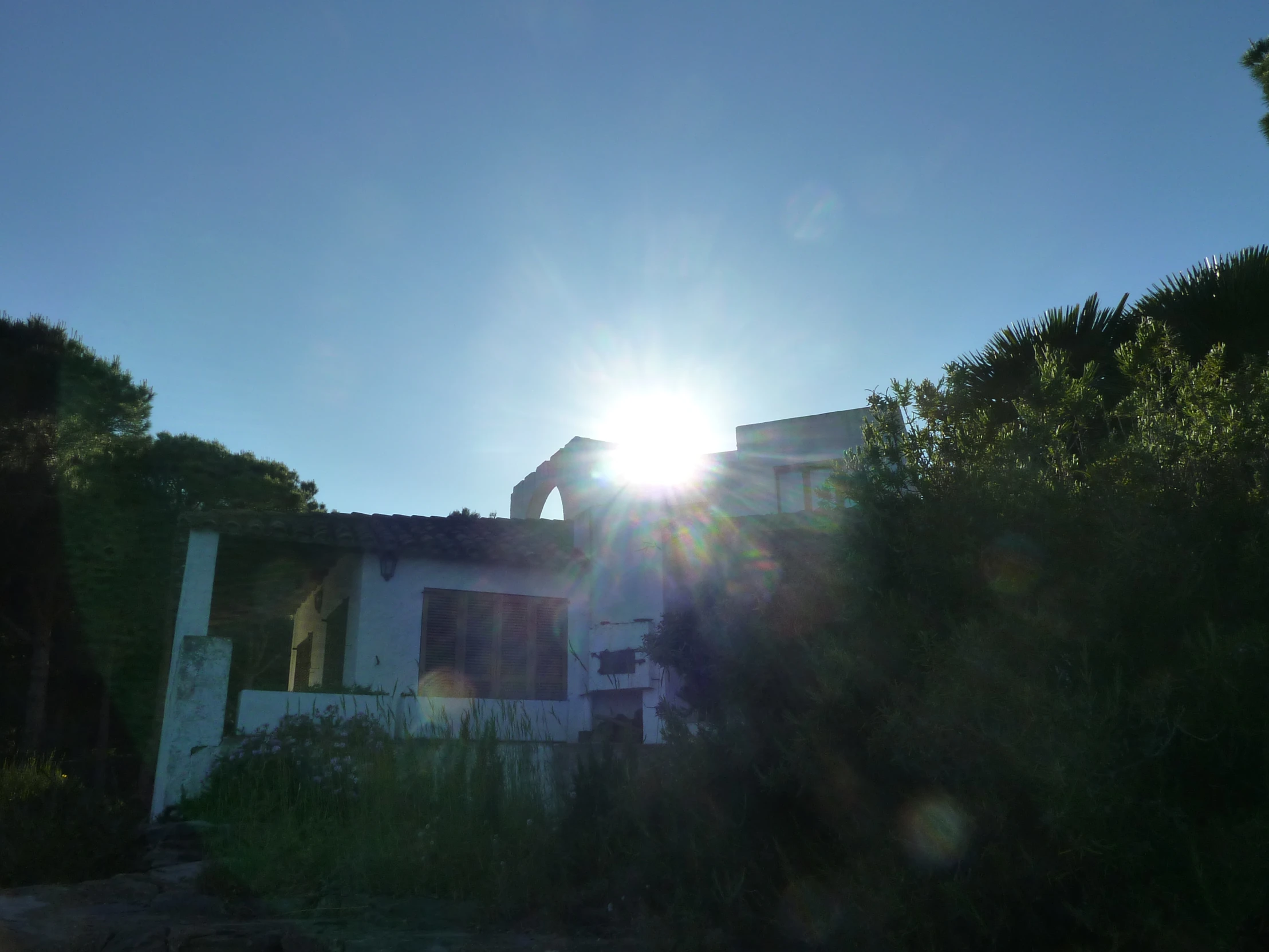 a building in the sunlight near the woods