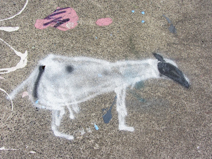 a drawing of a dog on the ground