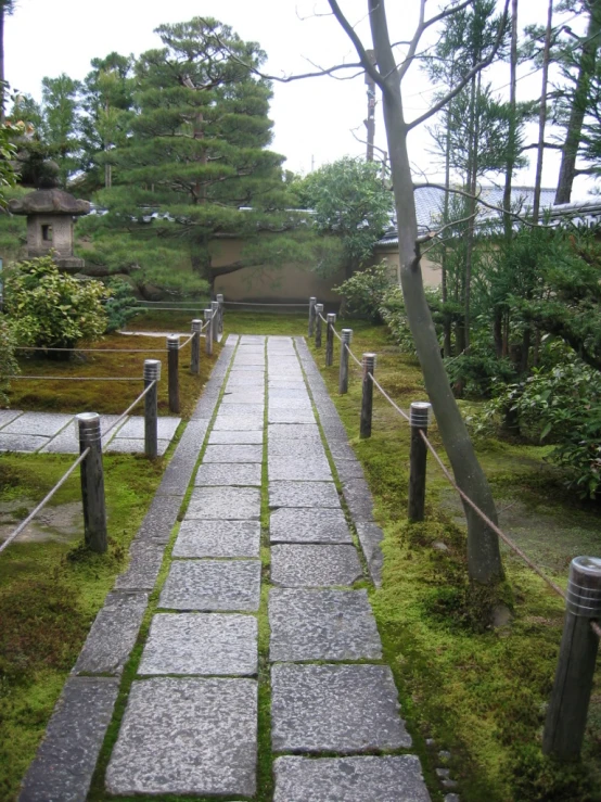 the line of steps are next to a tree