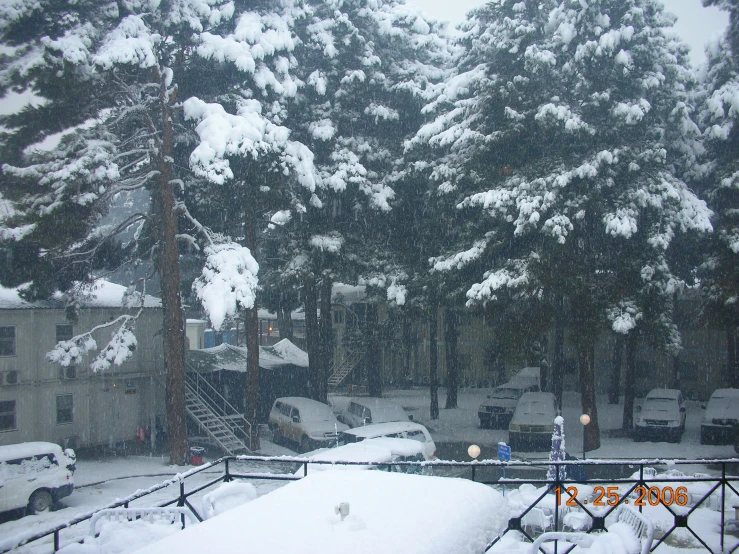 trees are seen through the snow on a street