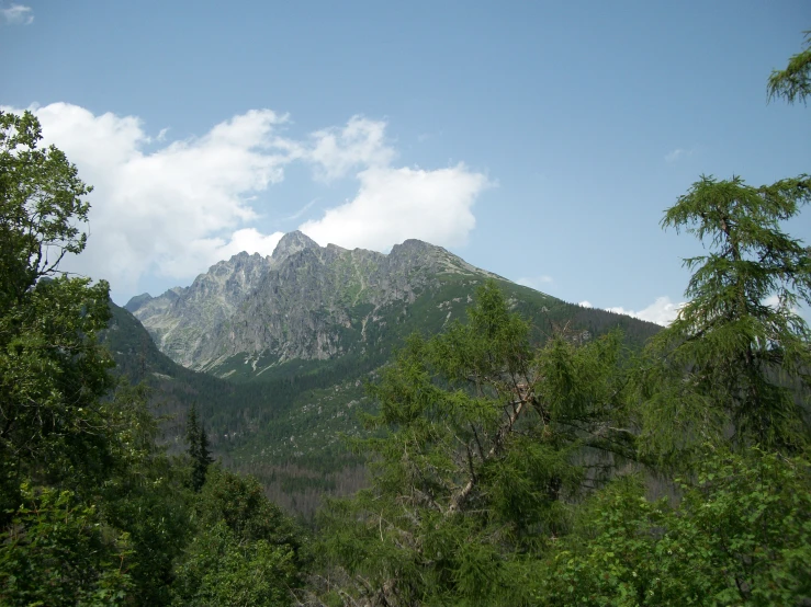 mountain with trees and sky behind it