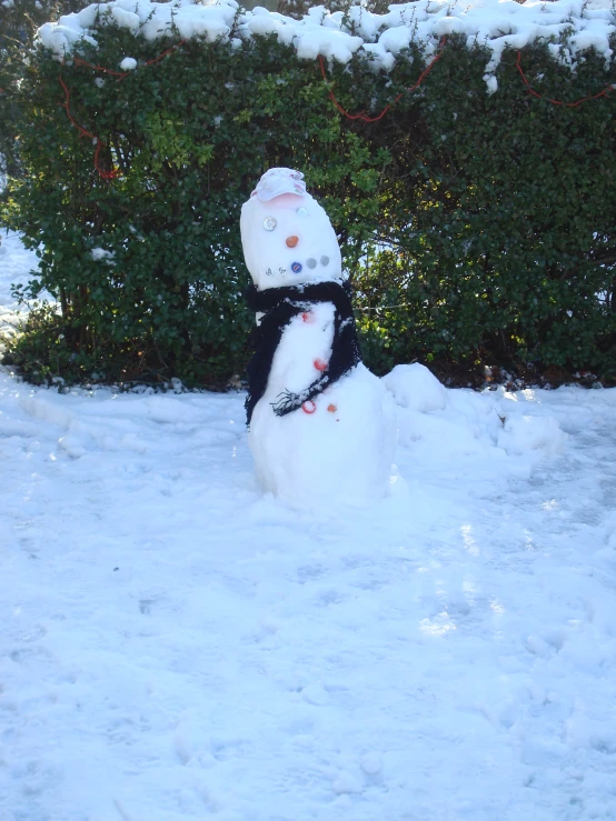 a snowman in the middle of snow near bushes