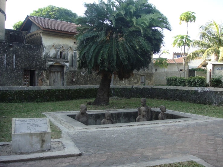 a small palm tree in a concrete garden