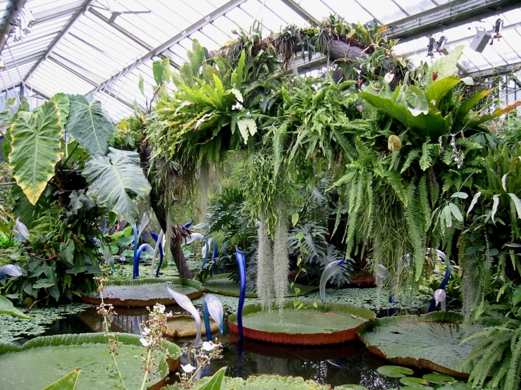 a garden with a pond and numerous trees and plants