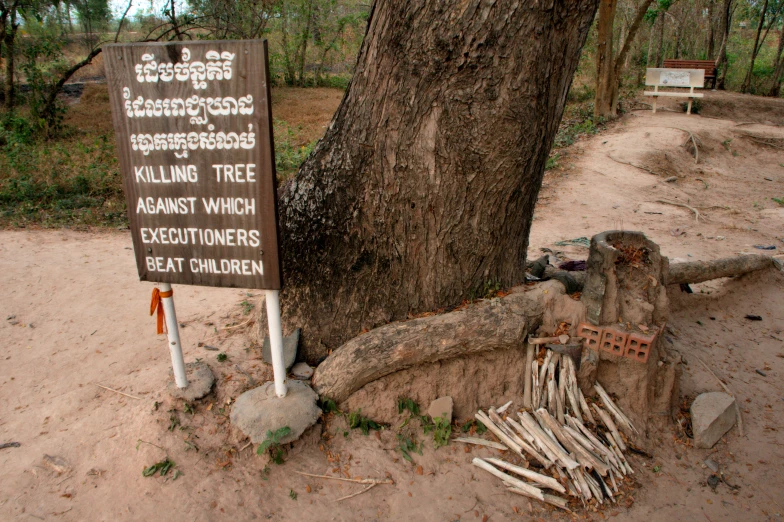 an information sign on a tree near the beach