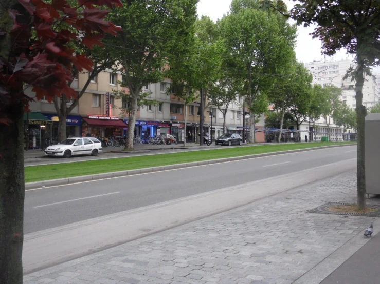 several cars are parked along the street near a row of trees