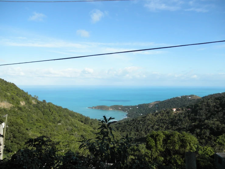 green hills overlooking the ocean with trees in the foreground