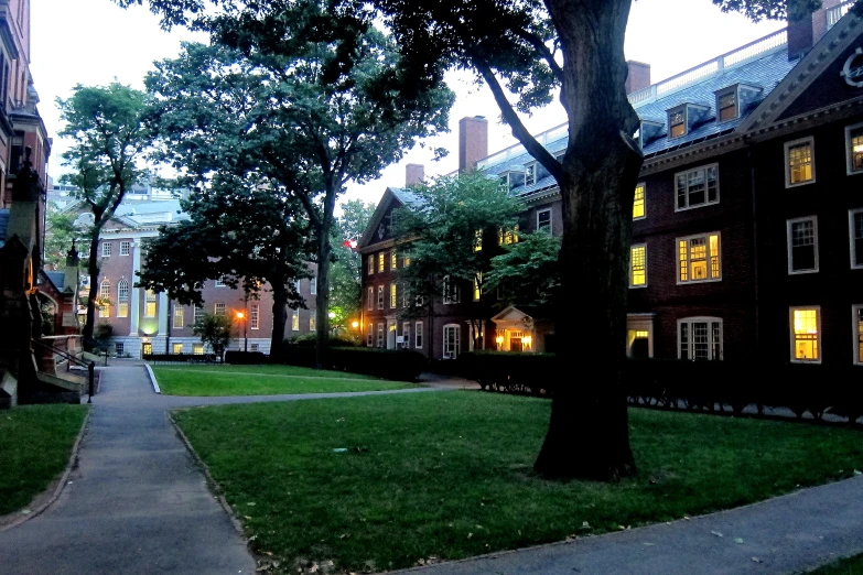 an image of a grassy lawn area at night