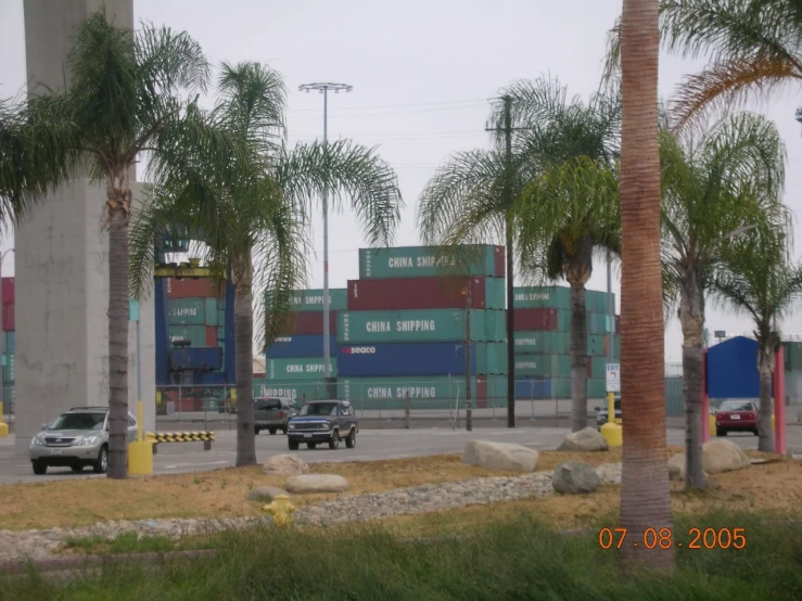 trucks are parked in front of some palm trees