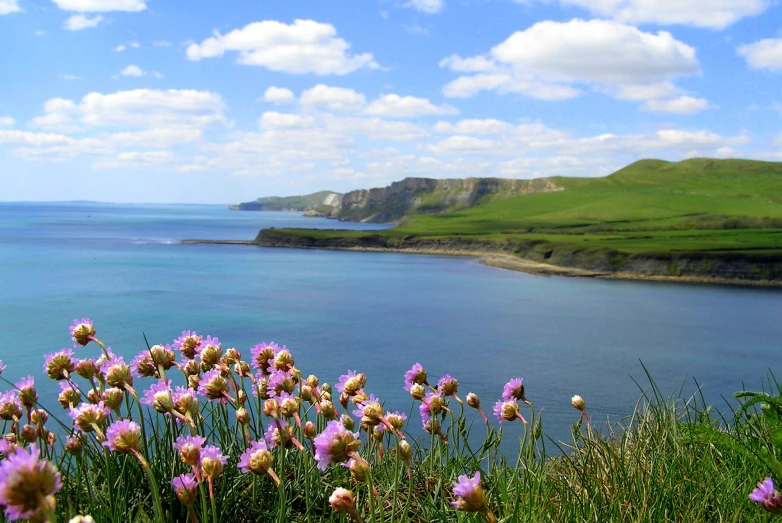 the sea has a very nice view over the water