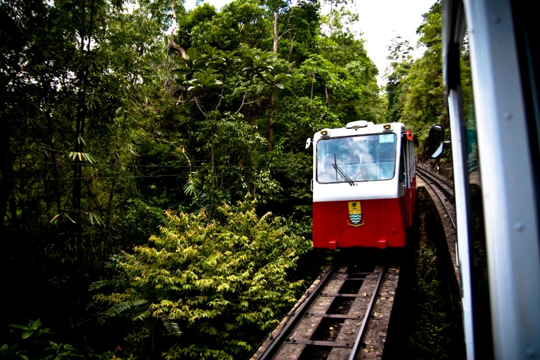 a white and red train driving through the woods