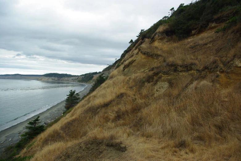 an expanse of land near the ocean with trees and other land