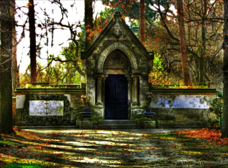 a tree filled area with lots of leaves and a small old building