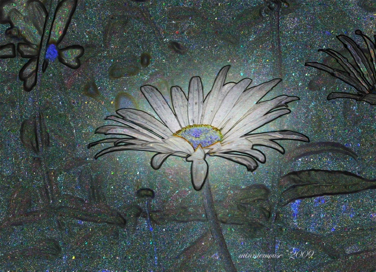 two white flowers against the backdrop of stars