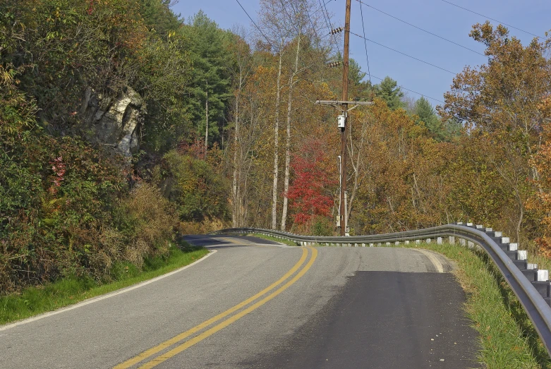 a narrow road surrounded by trees and grass