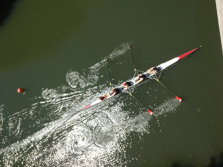 four people are rowing in two teams on the water