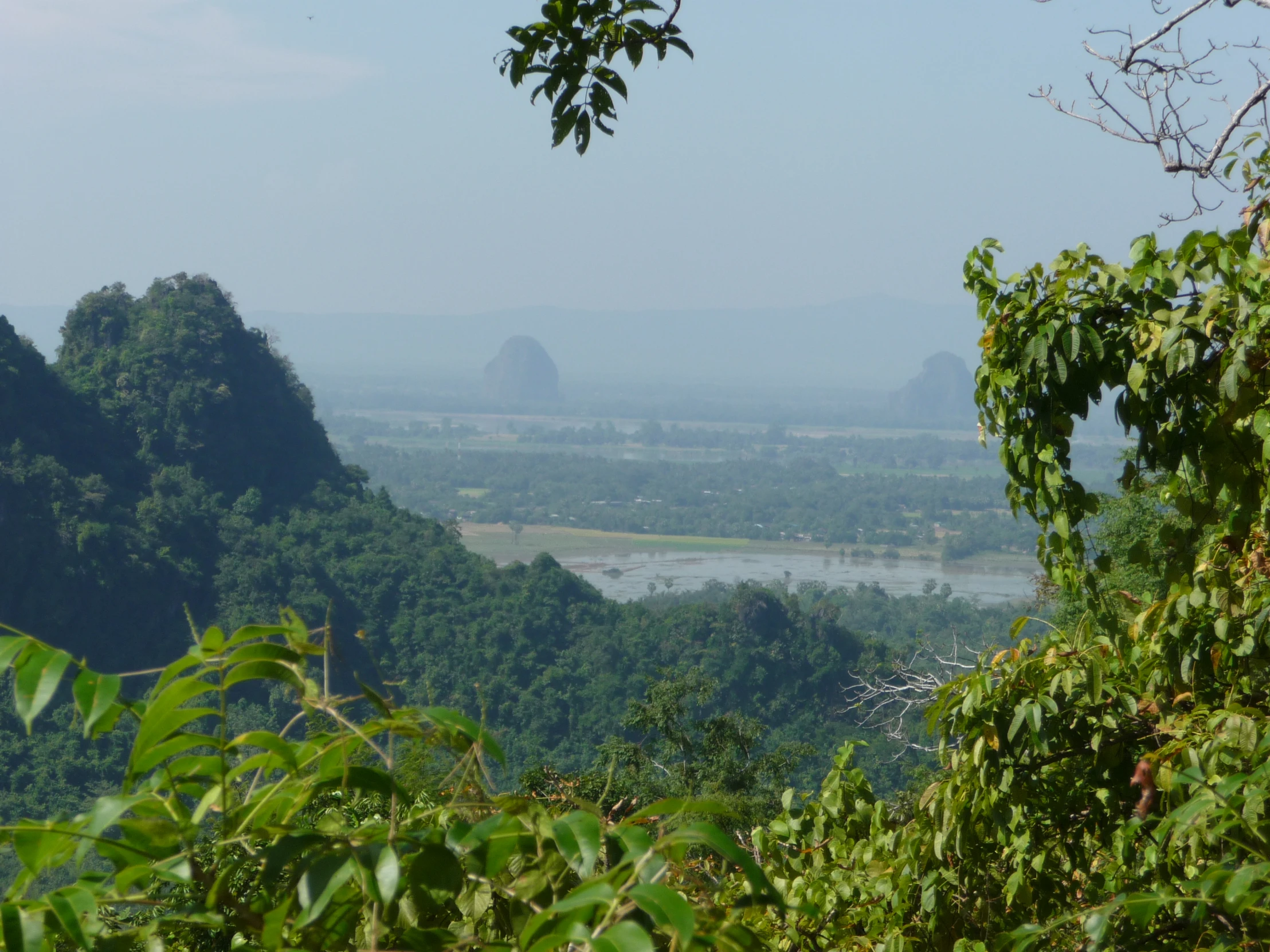 an open view over the trees and water