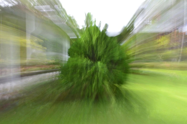 a blurry image of trees moving and a picture of the woods beyond