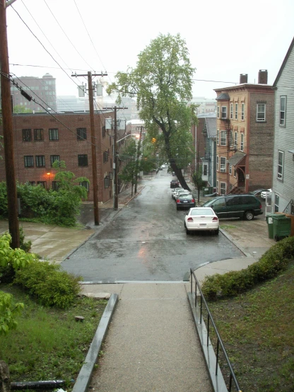 a wet street is lined with cars and houses