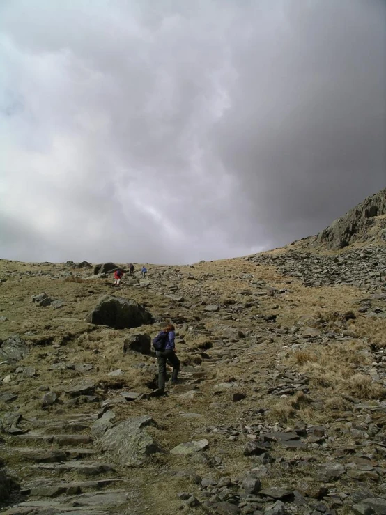 several people on a mountain top with one holding the leash