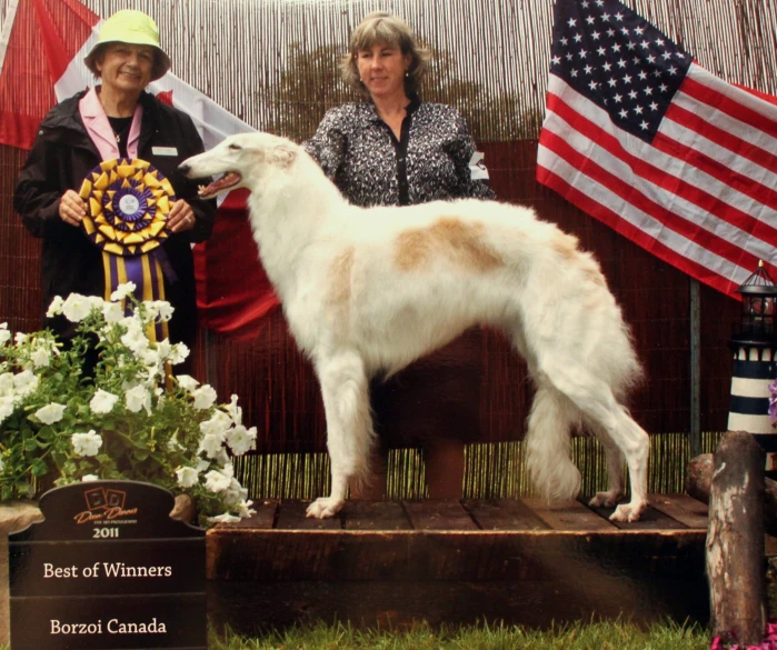 a giant dog on display in an exhibit with a woman next to it