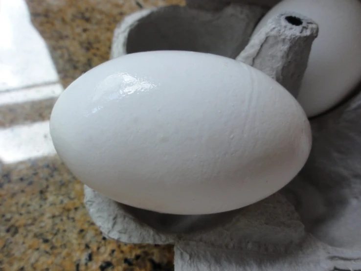 an egg in an egg box on a table