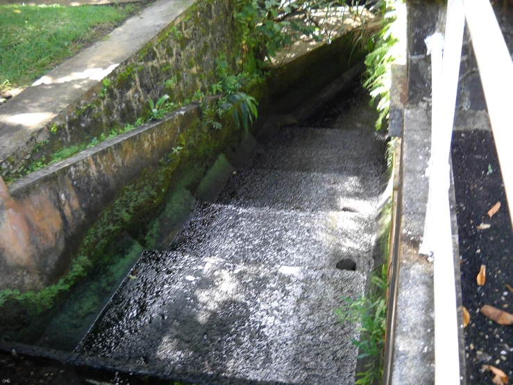 a stone wall with a walkway through it in the jungle