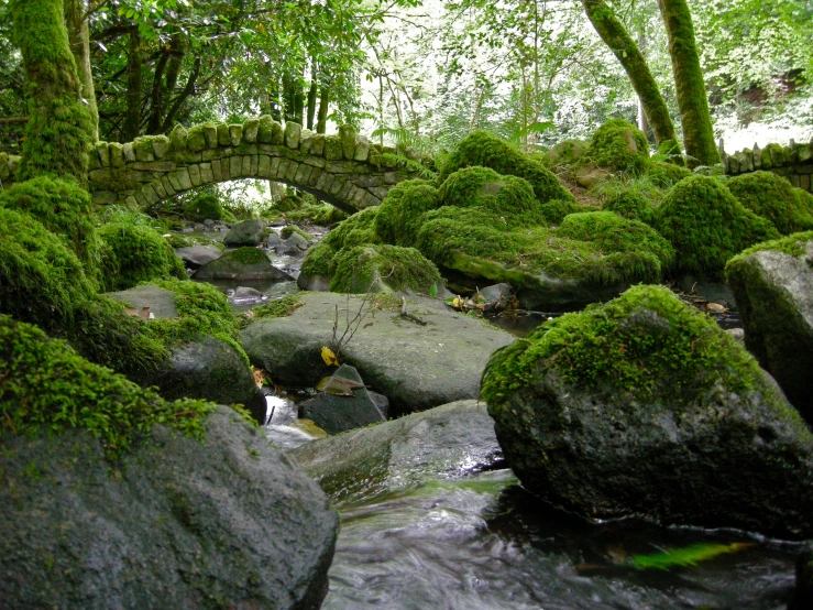 the stone bridge has moss growing on it