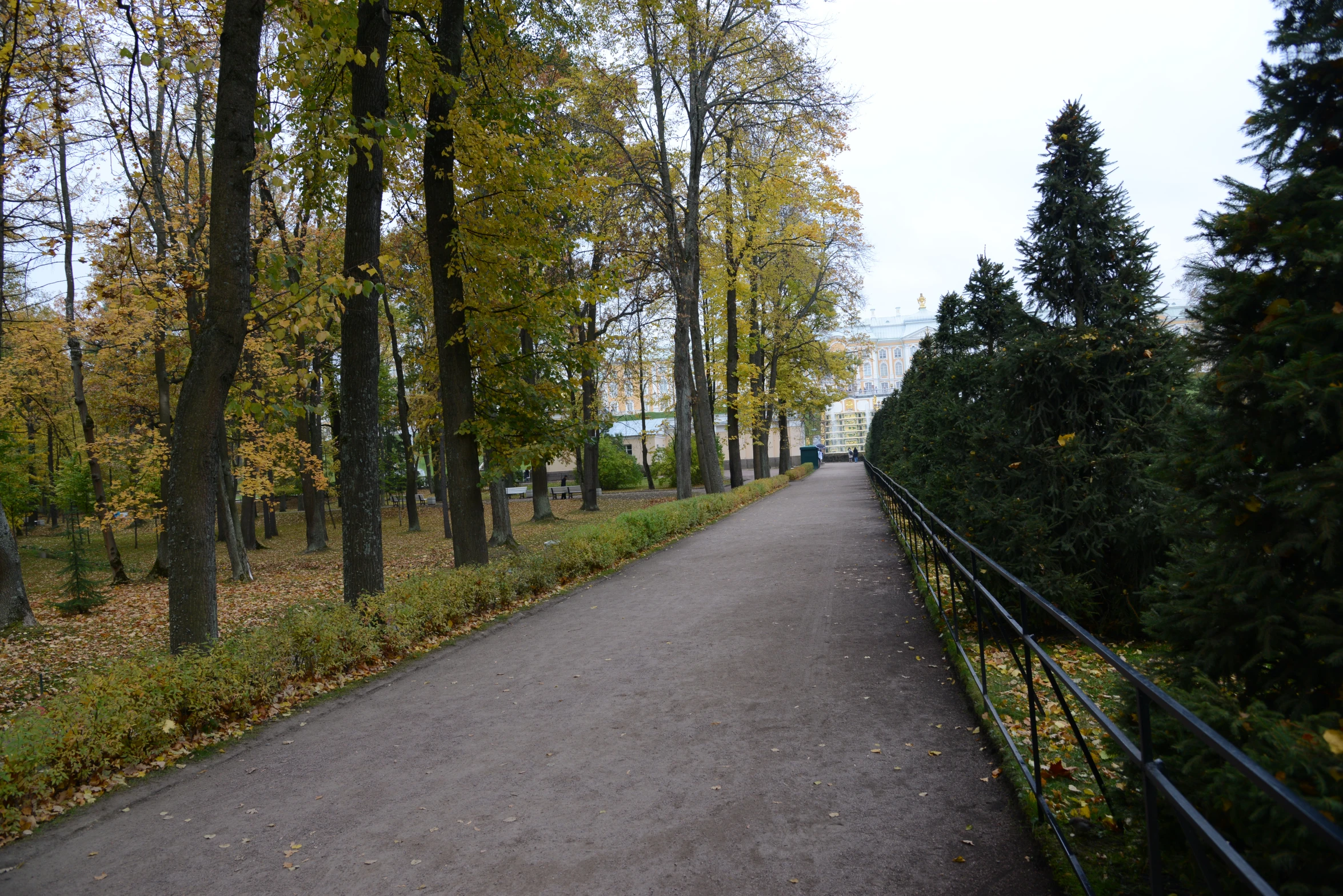 an empty, wooded path winds through the park