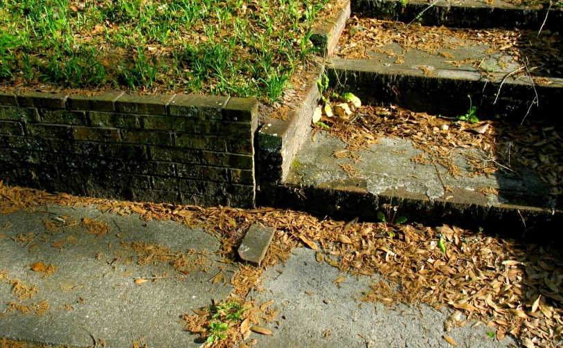 several steps that have plants on them on the outside