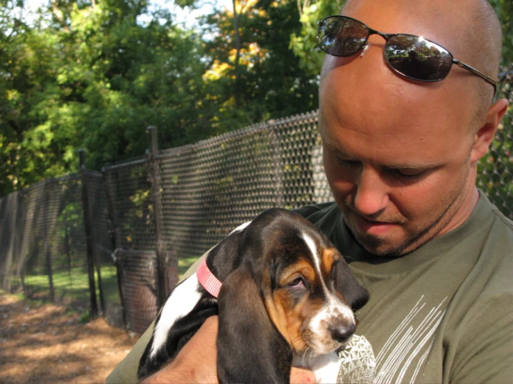 a man holding a dog who is wearing sunglasses