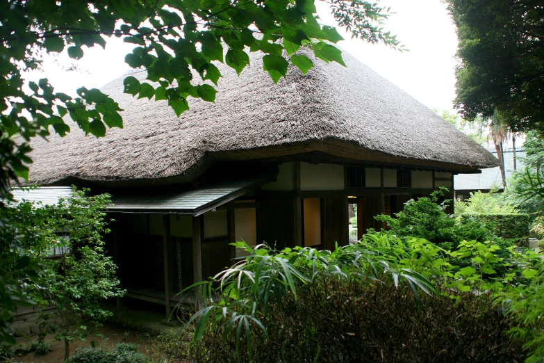 the traditional house has a thatched roof
