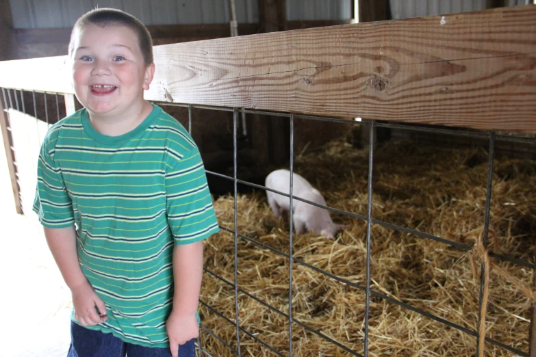 a  standing in front of a fence with a pig