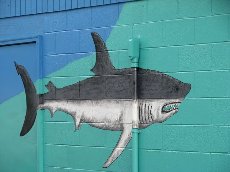 the painted on wall of the building contains a large gray shark