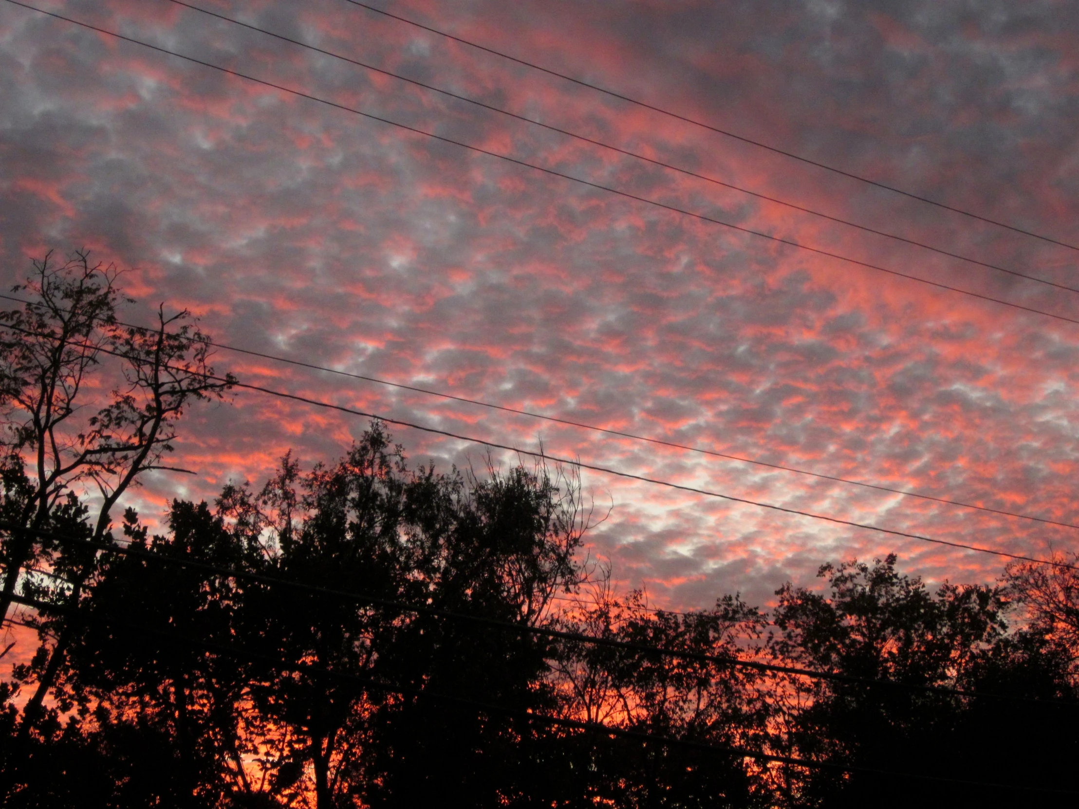 an orange and red sunset over some trees