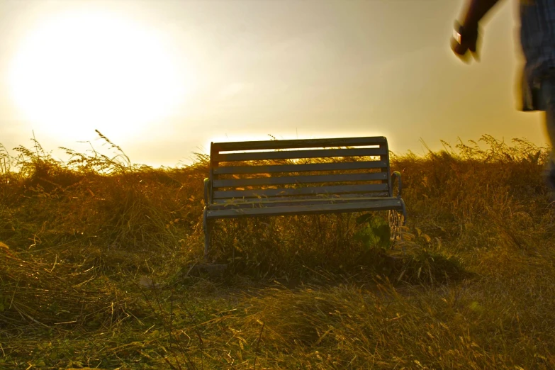 a bench is sitting in the grass near the sky