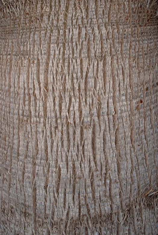 a closeup view of the surface of a bed sheet